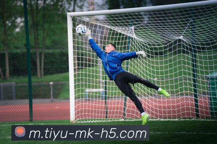 App Interface Preview