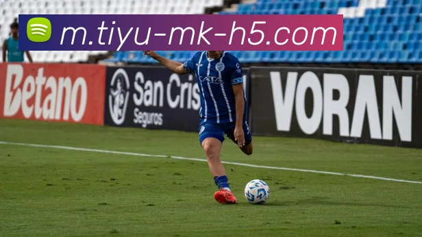 MK体育APP 封面图